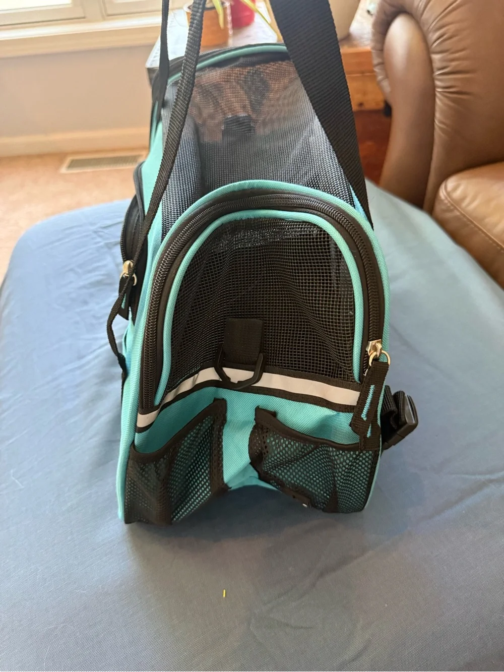 Teal Pet Carrier Bag